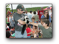 Toronto Petting Zoo