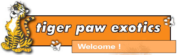 Tiger Paw Logo