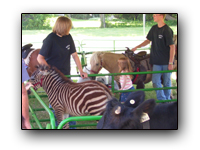 Toronto Petting Zoo